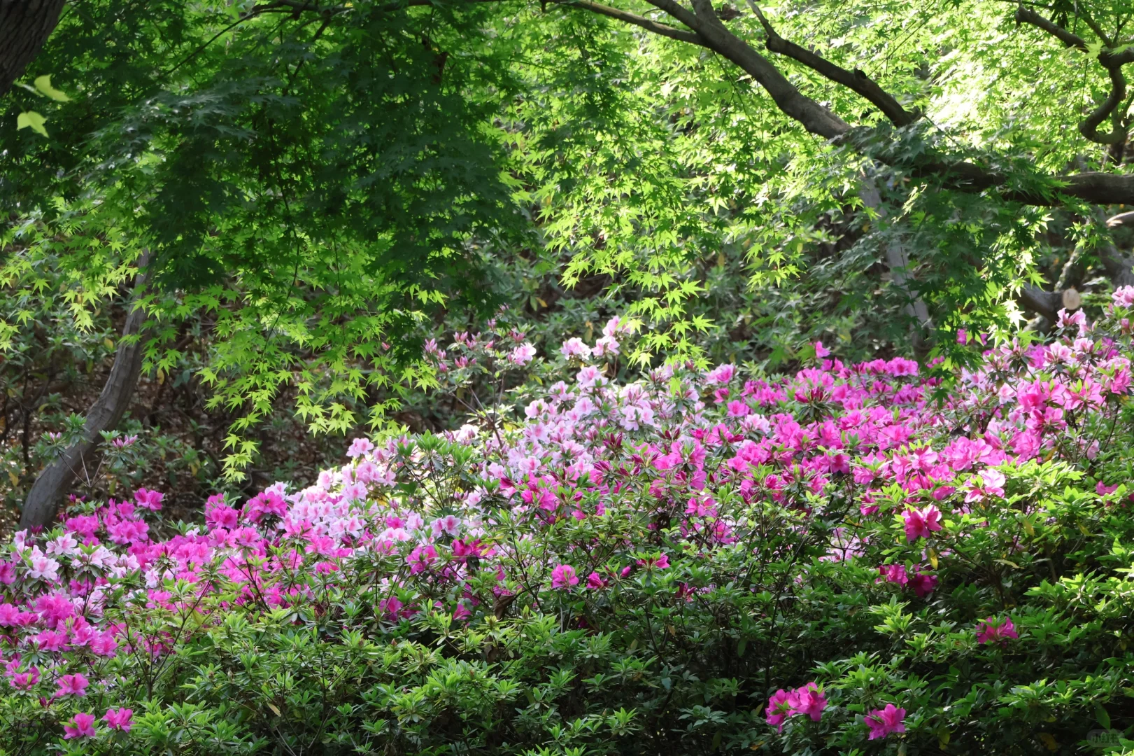 下午三点后｜无锡的这个公园会发光