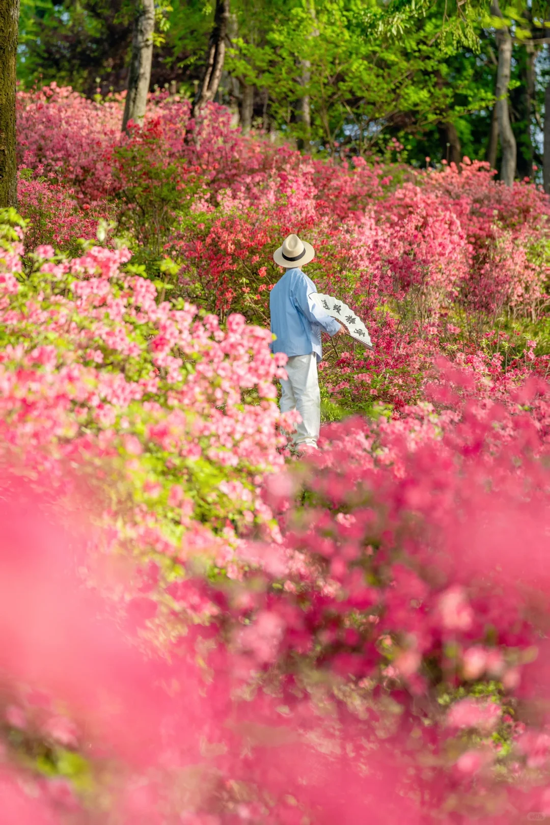迄今为止，我最喜欢的春日小镇出现了