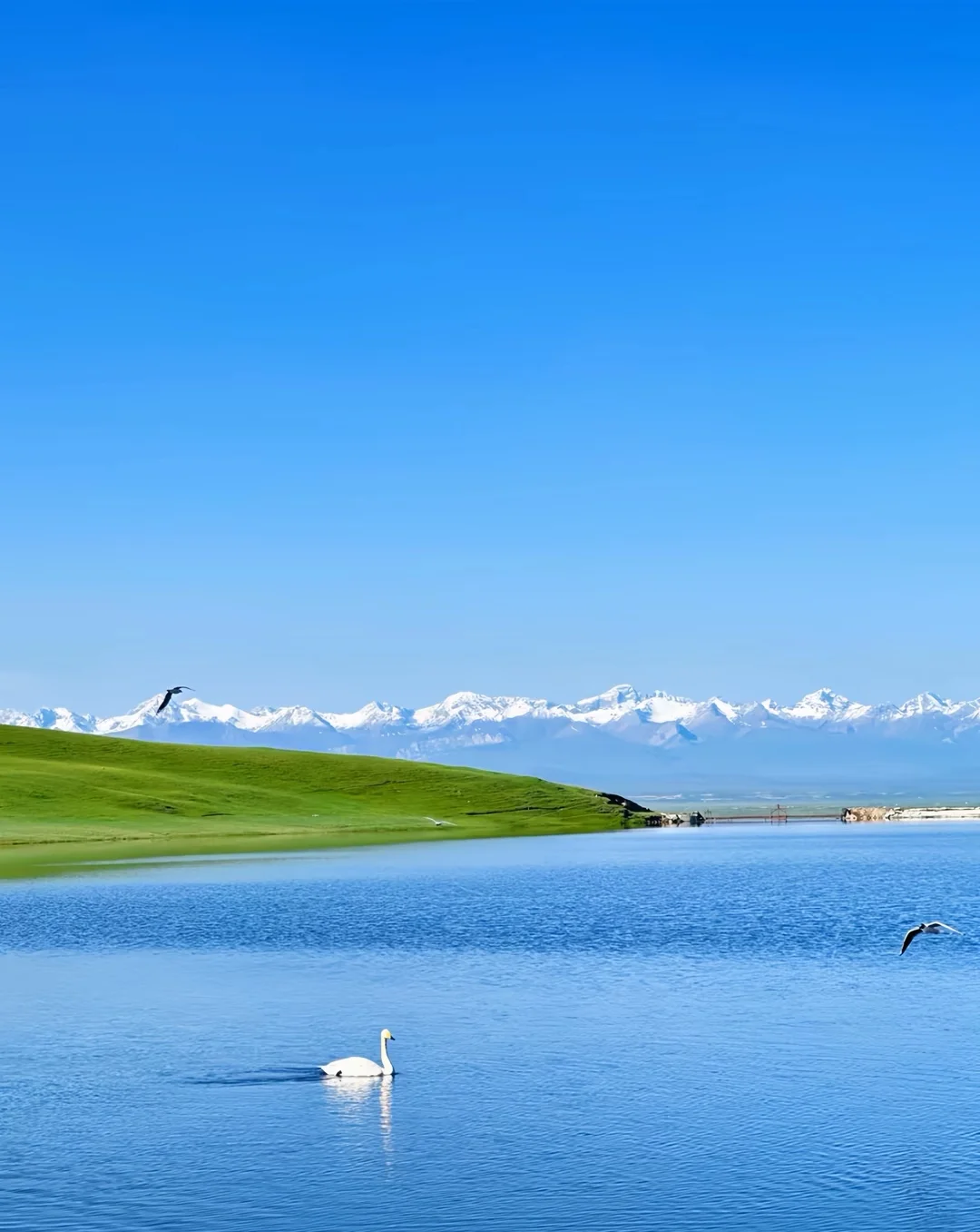 新疆必去九大景点❗️❗️❗️旅游前必看❗