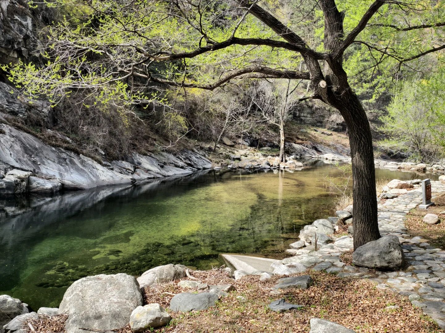 爬泰山，一定要走桃花峪徒步下山！太美啦！