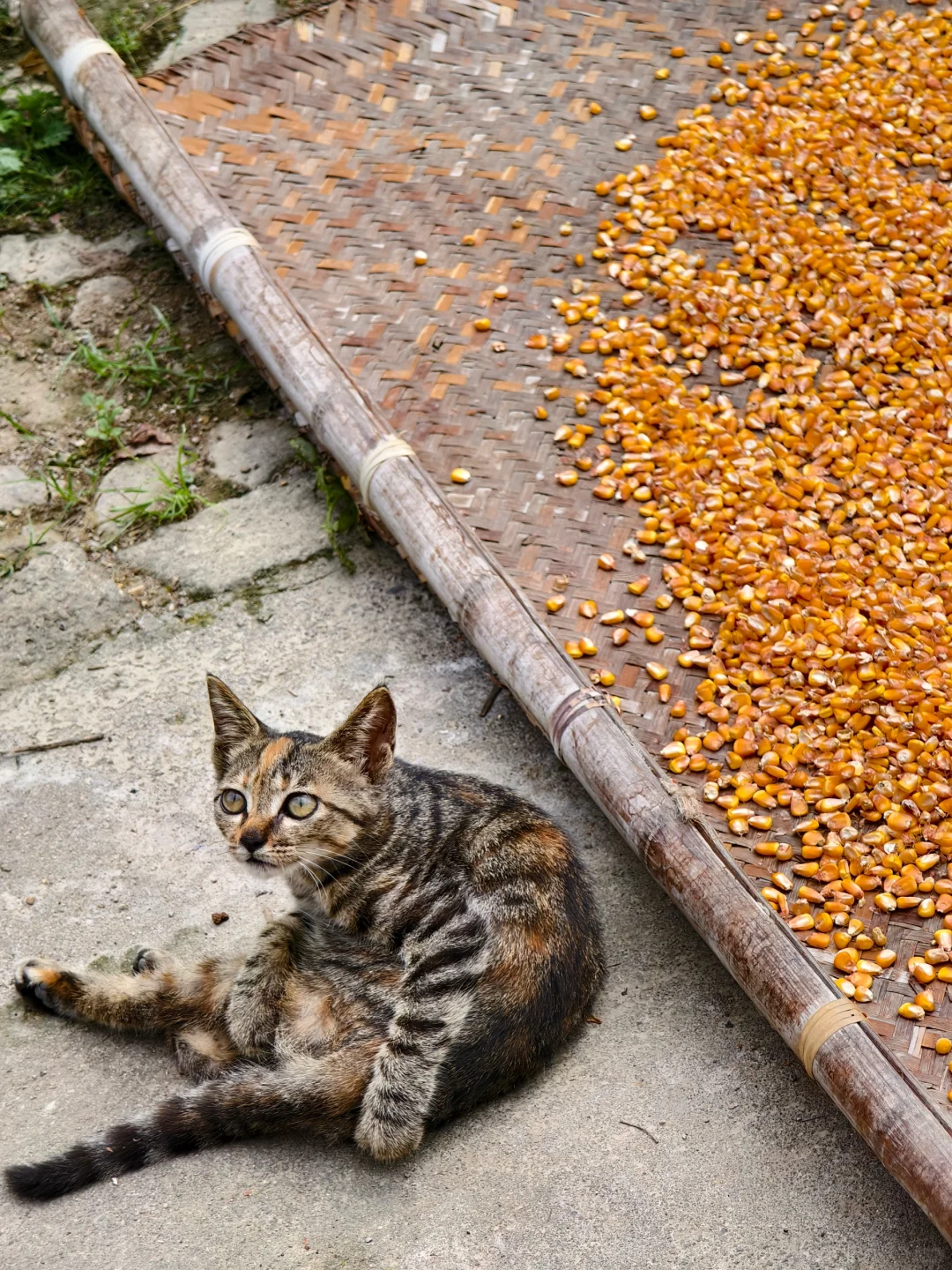 浙江的古村落承包了最好的小长假