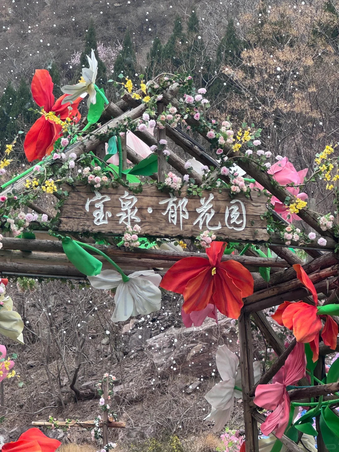 河南版莫奈花园！宝泉郁金香花海错过等一年