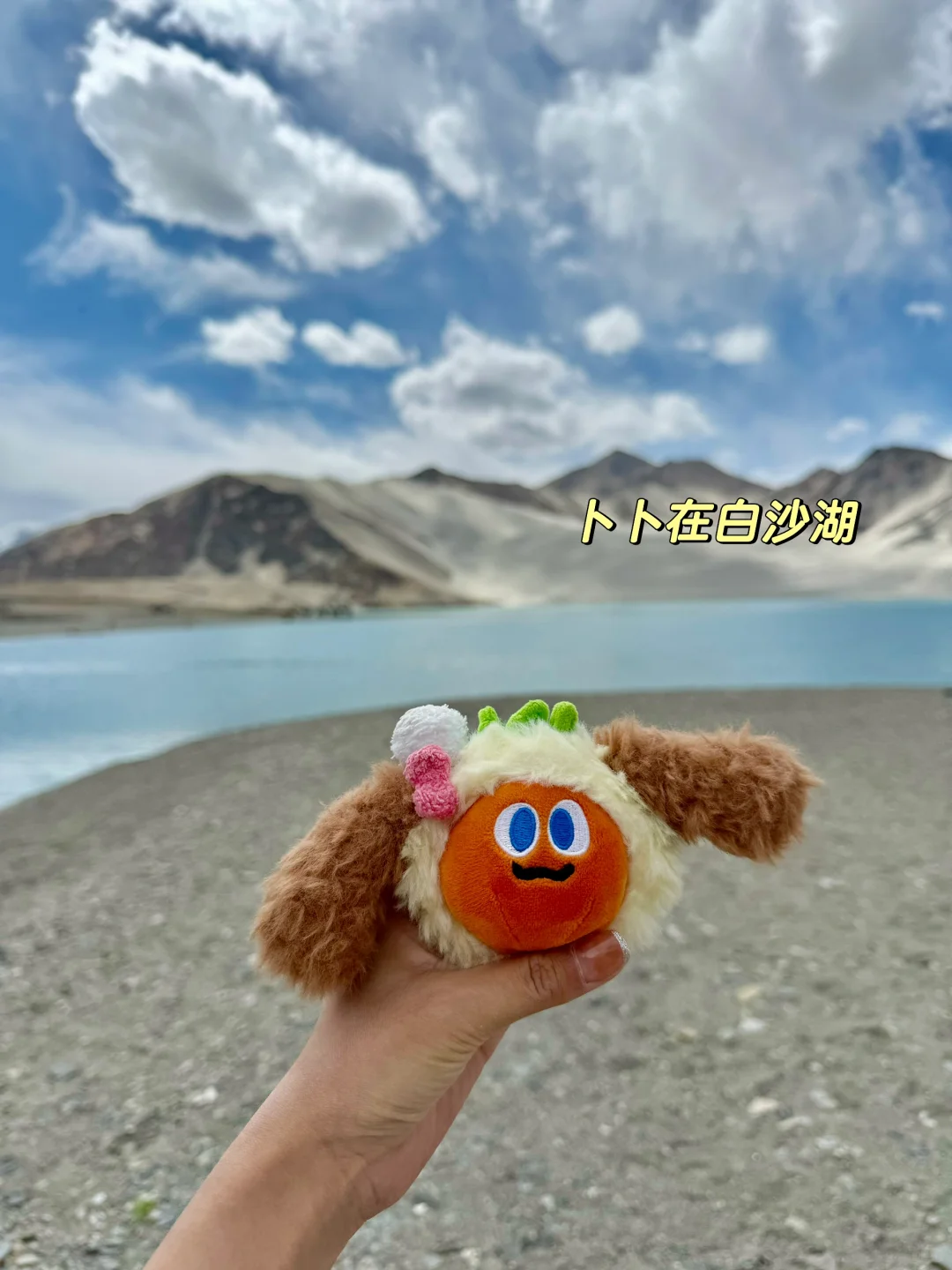 带卜卜看世界之🥕卜卜游新疆喀什🌍🏔️