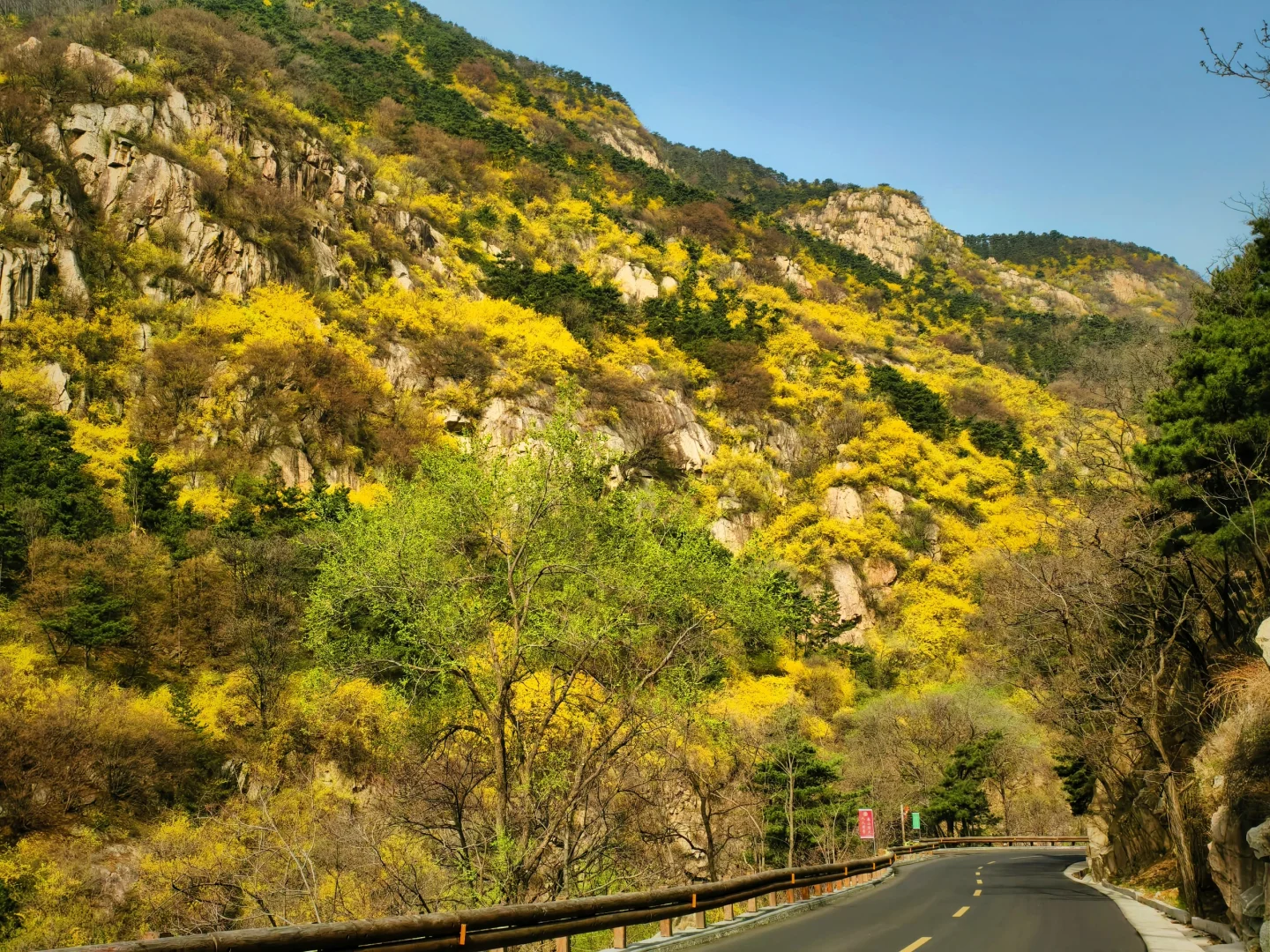 爬泰山，一定要走桃花峪徒步下山！太美啦！