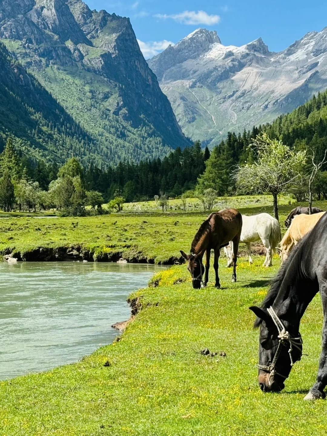 人去不了瑞士，但总得和朋友来川西吧🏔