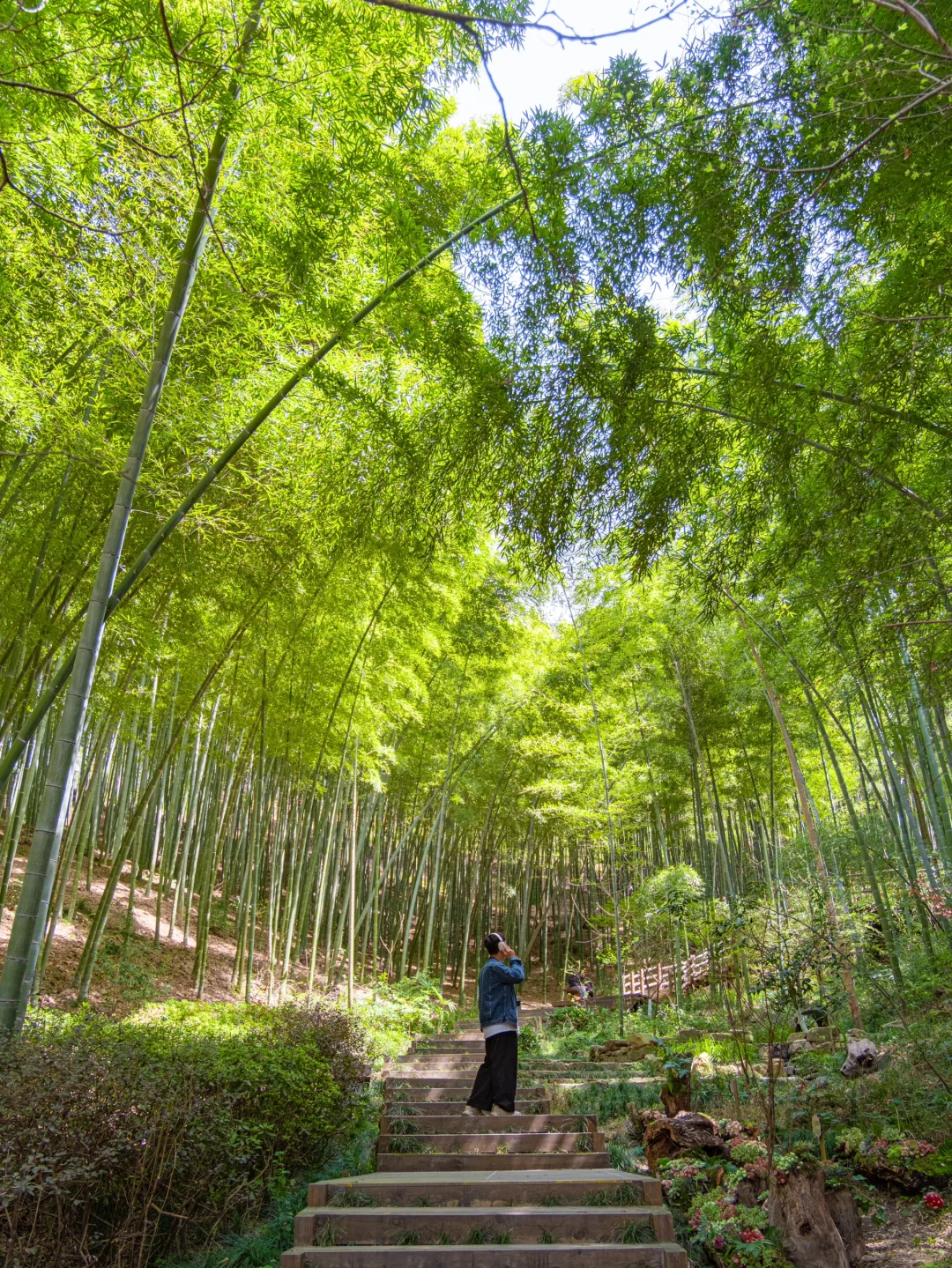 迄今为止，我最喜欢的旅游城市出现了❗❗️