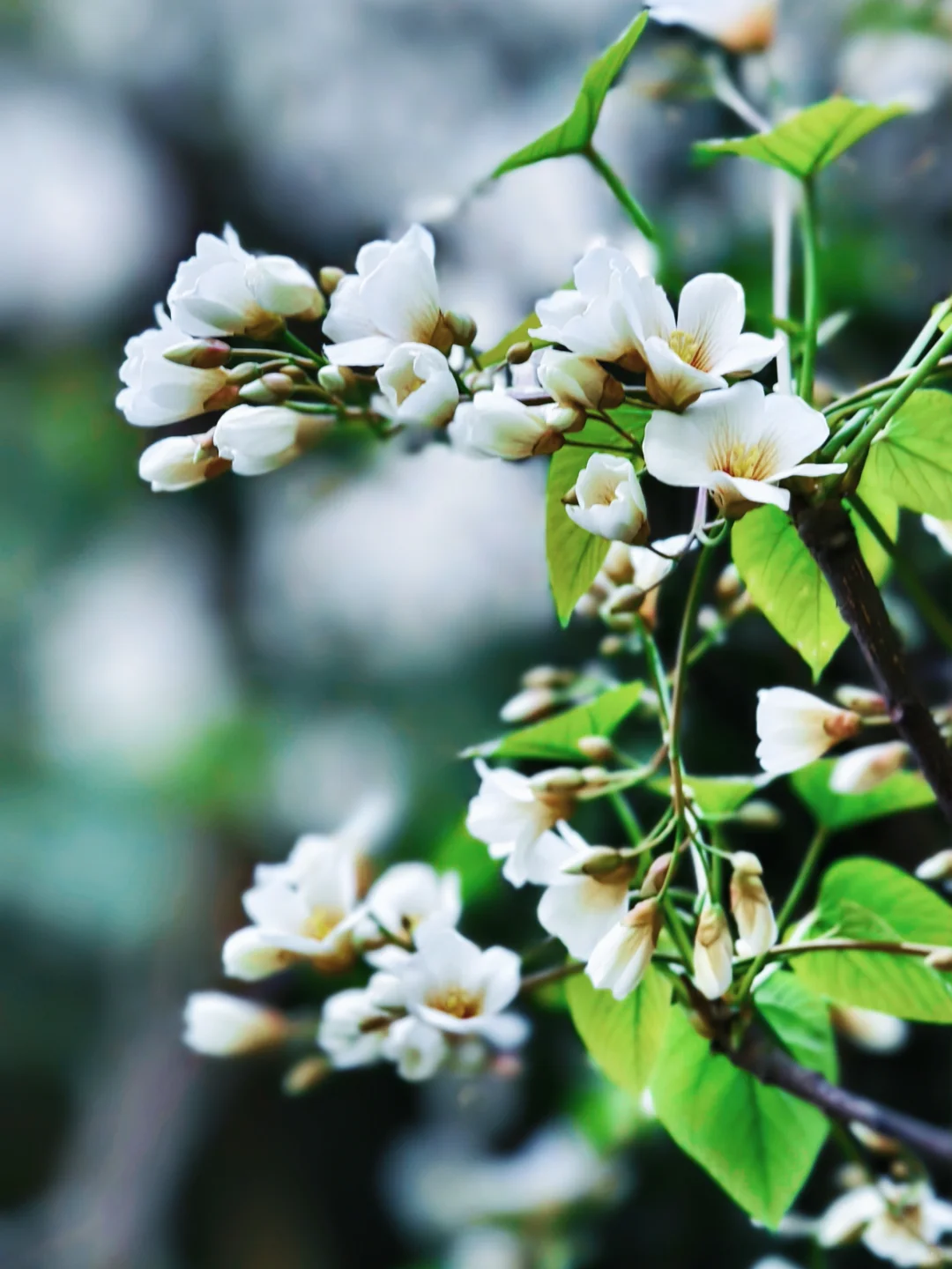 “人随春好 春与人宜”