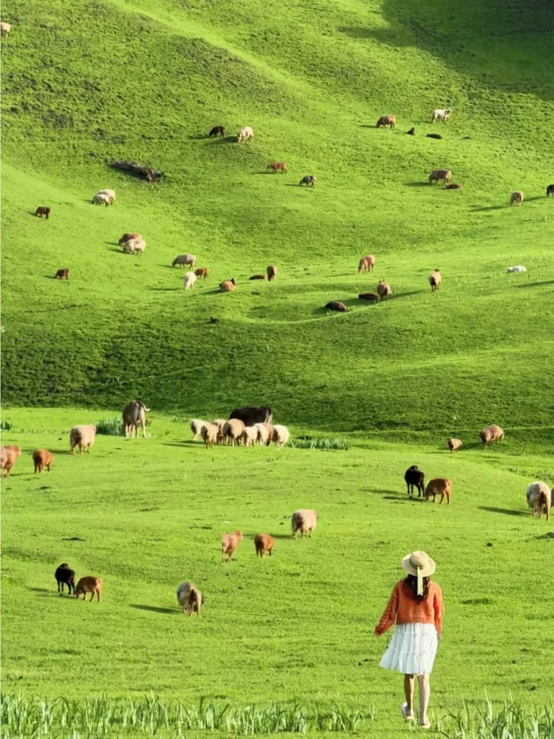 4.15📍新疆7天已回❗️总结10条避坑指南⚠️…