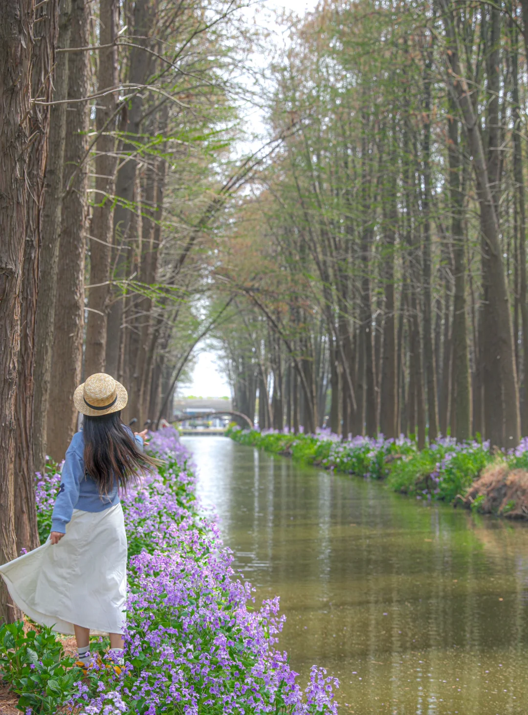 国家地理诚不欺我！水上花田超震撼，美哭了