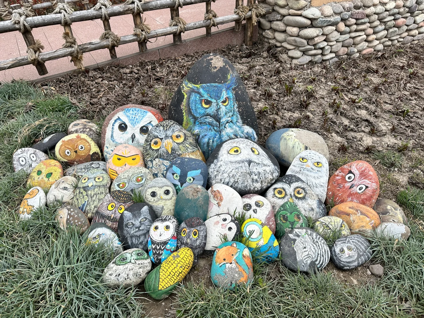 时间有限，风光无限