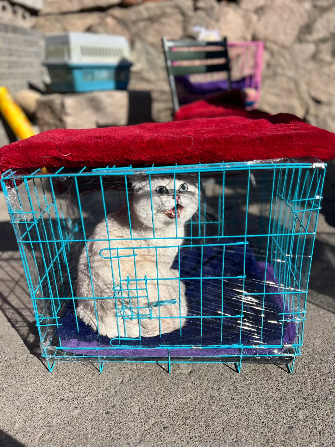 初探山海关，2天1晚不走寻常路，从吐槽到喜欢