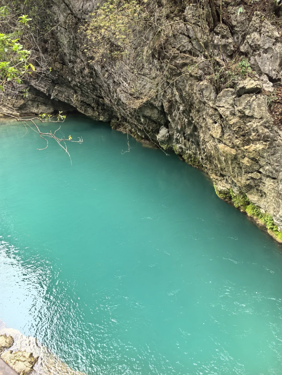 🌟地球上掉落的绿宝石被我找到啦！