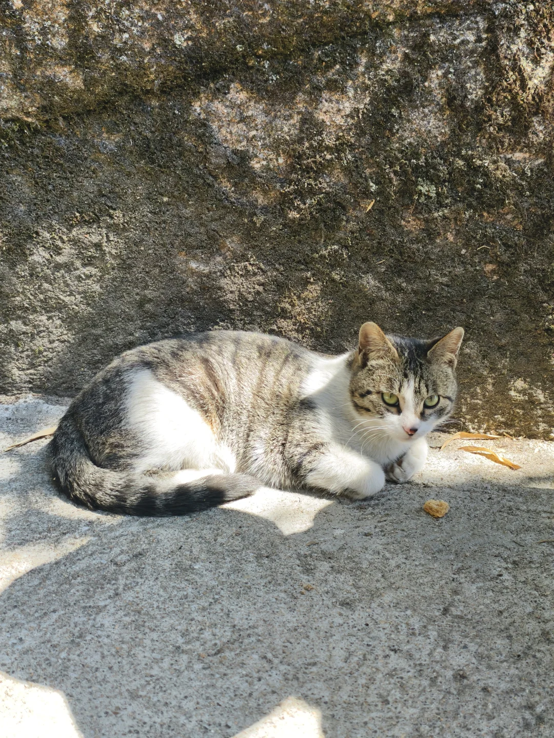 来三清山了！不虚此行⛰️