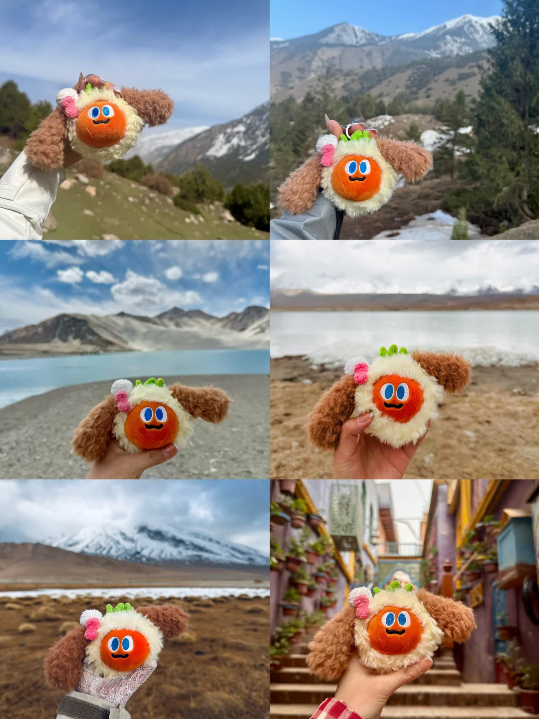 带卜卜看世界之🥕卜卜游新疆喀什🌍🏔️