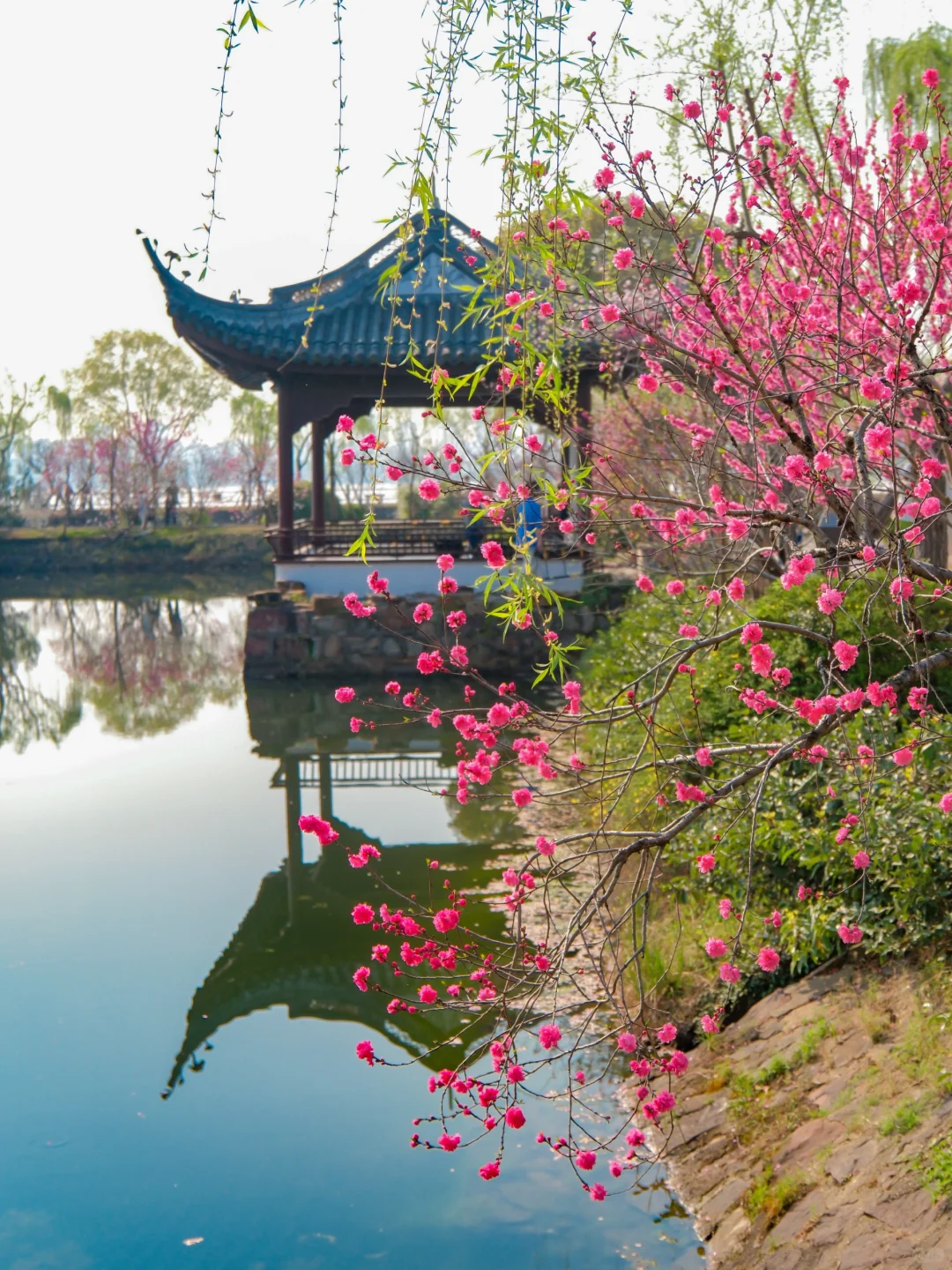 推荐一个绝对冷门但超级震撼的江南园林...