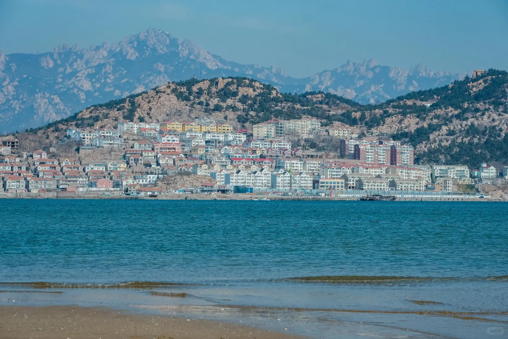 青岛会奖励每一个提前做攻略的人！！