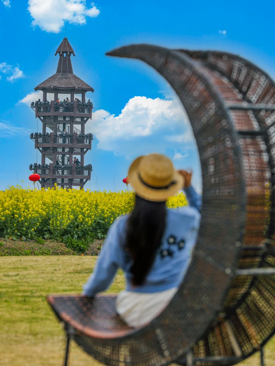 国家地理诚不欺我！水上花田超震撼，美哭了