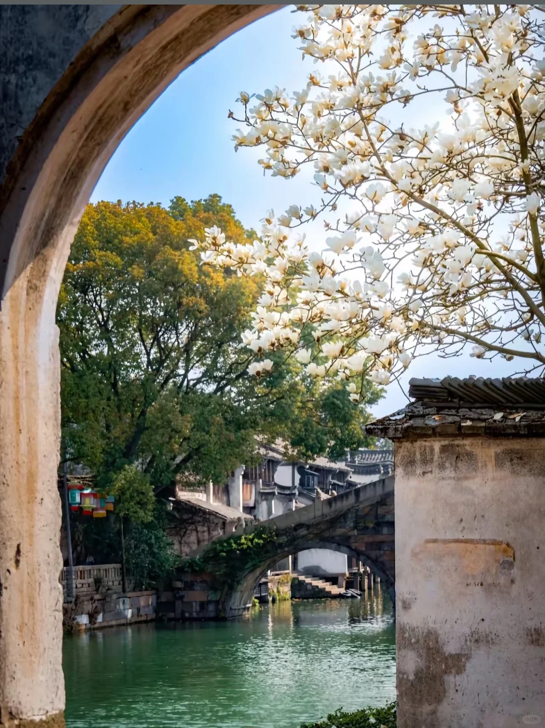 🌉总要下趟江南吧，赴一场乌镇之约