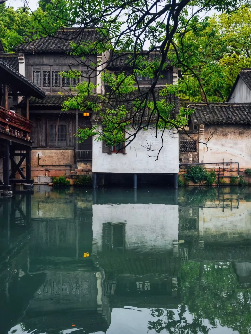 🌟乌镇5天4夜深度游攻略🌟