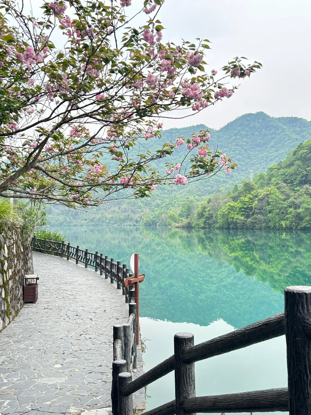 小东江的四个下车点机位，内附姿势