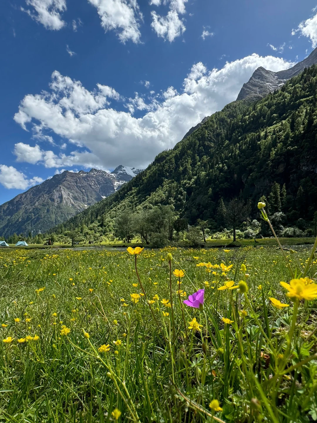 人去不了瑞士，但总得和朋友来川西吧🏔