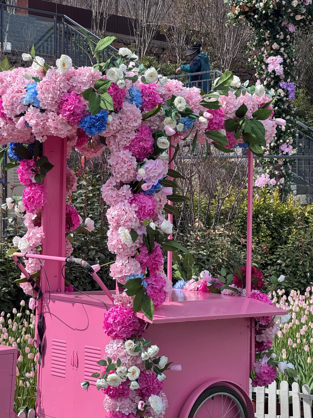 河南版莫奈花园！宝泉郁金香花海错过等一年