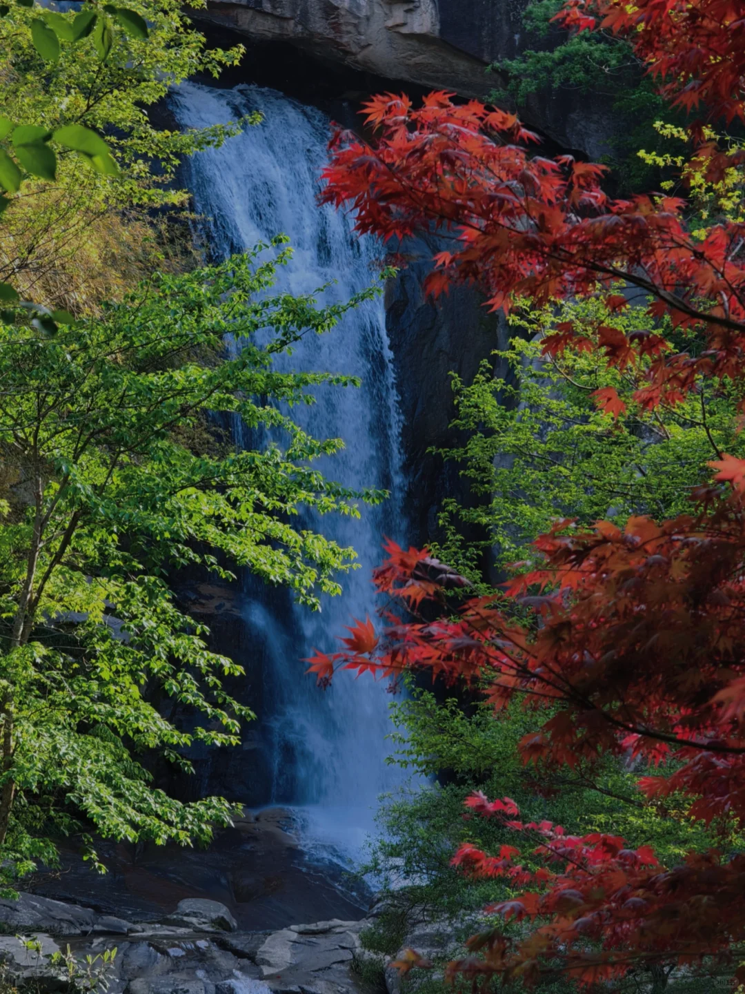 “人随春好 春与人宜”