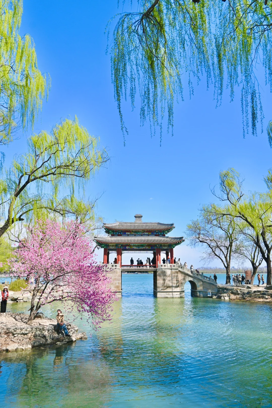 3.29颐和园豳风桥美到next level最佳观赏季