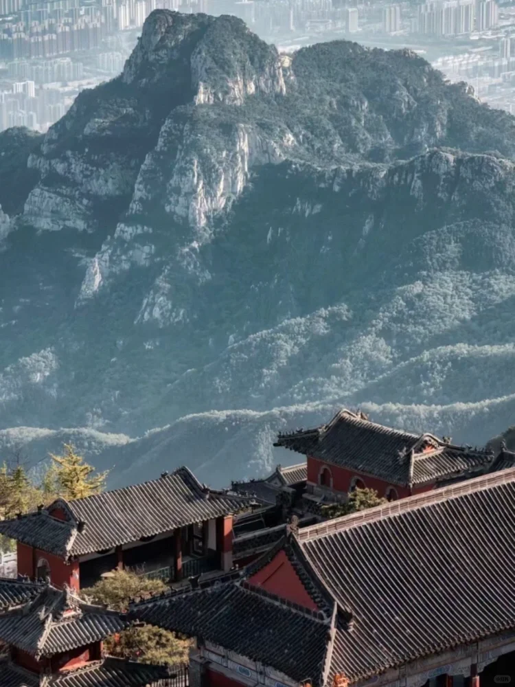 山东6日｜济南+泰山+曲阜保姆级攻略‼️