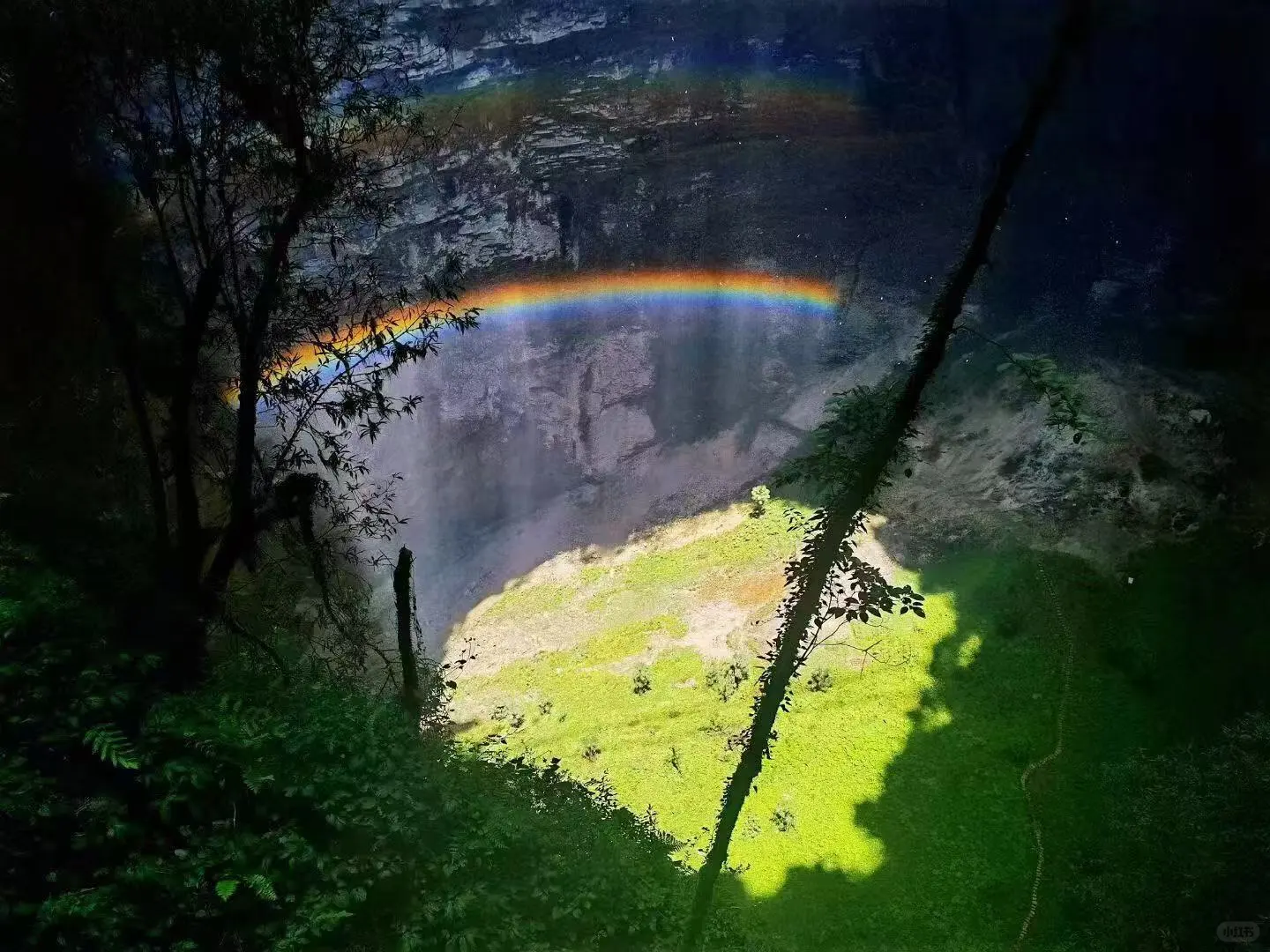 植物爱好者的探索之行