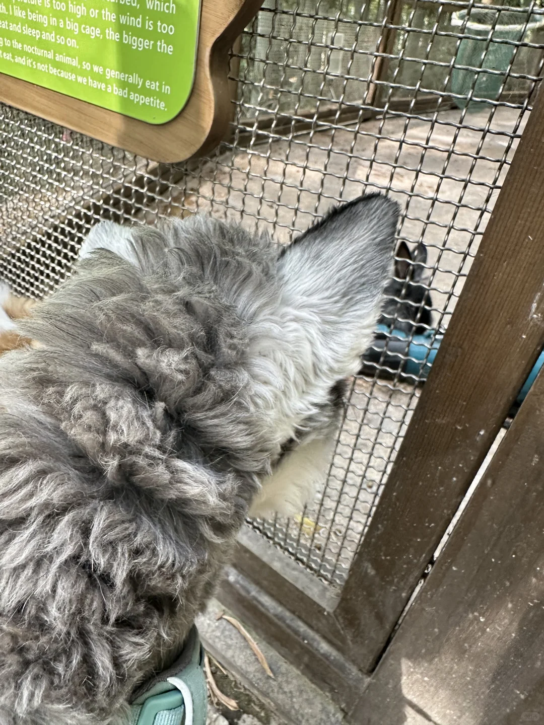 打卡宠物友好景区之溧阳天目湖山水园