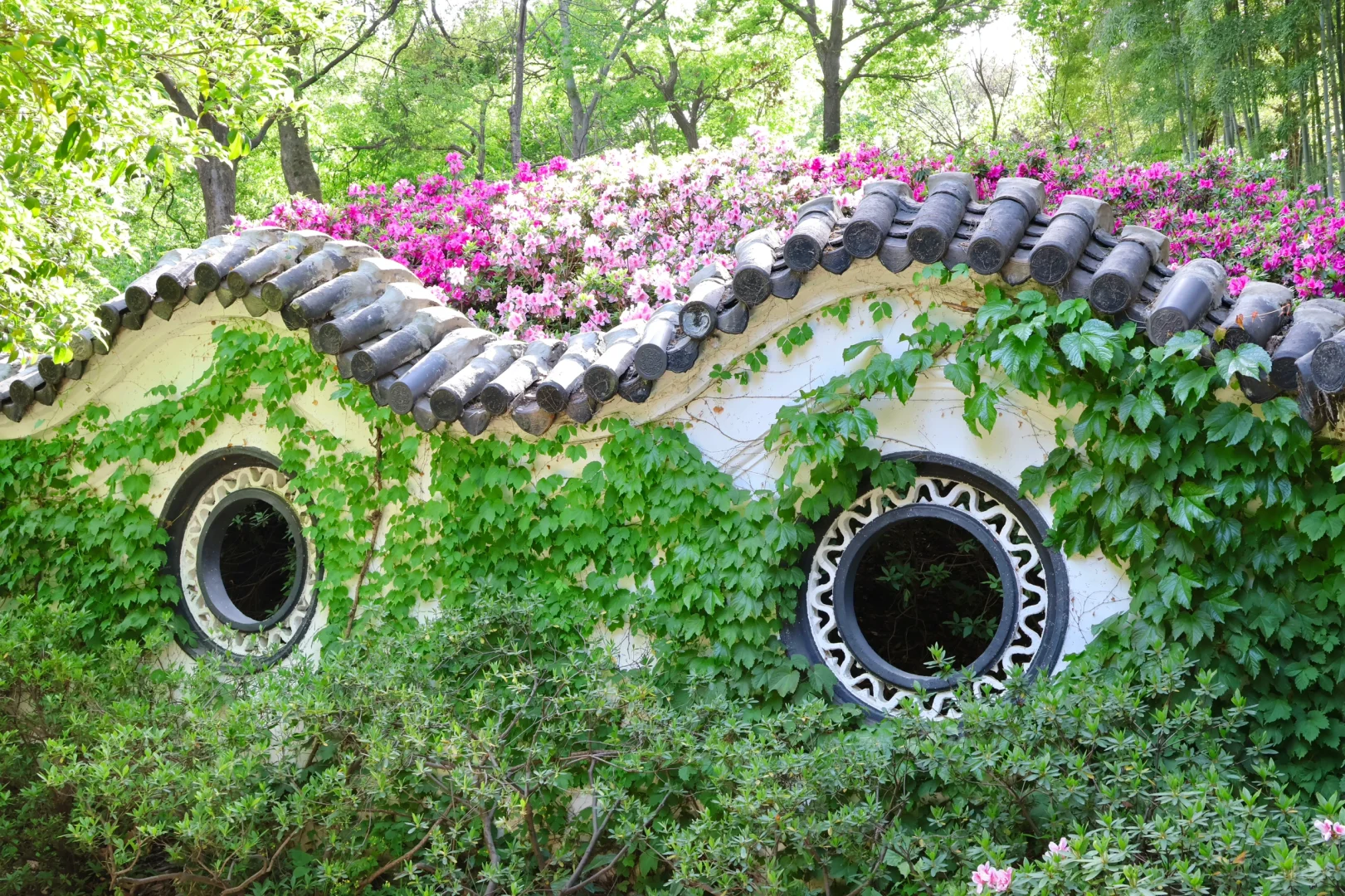 下午三点后｜无锡的这个公园会发光