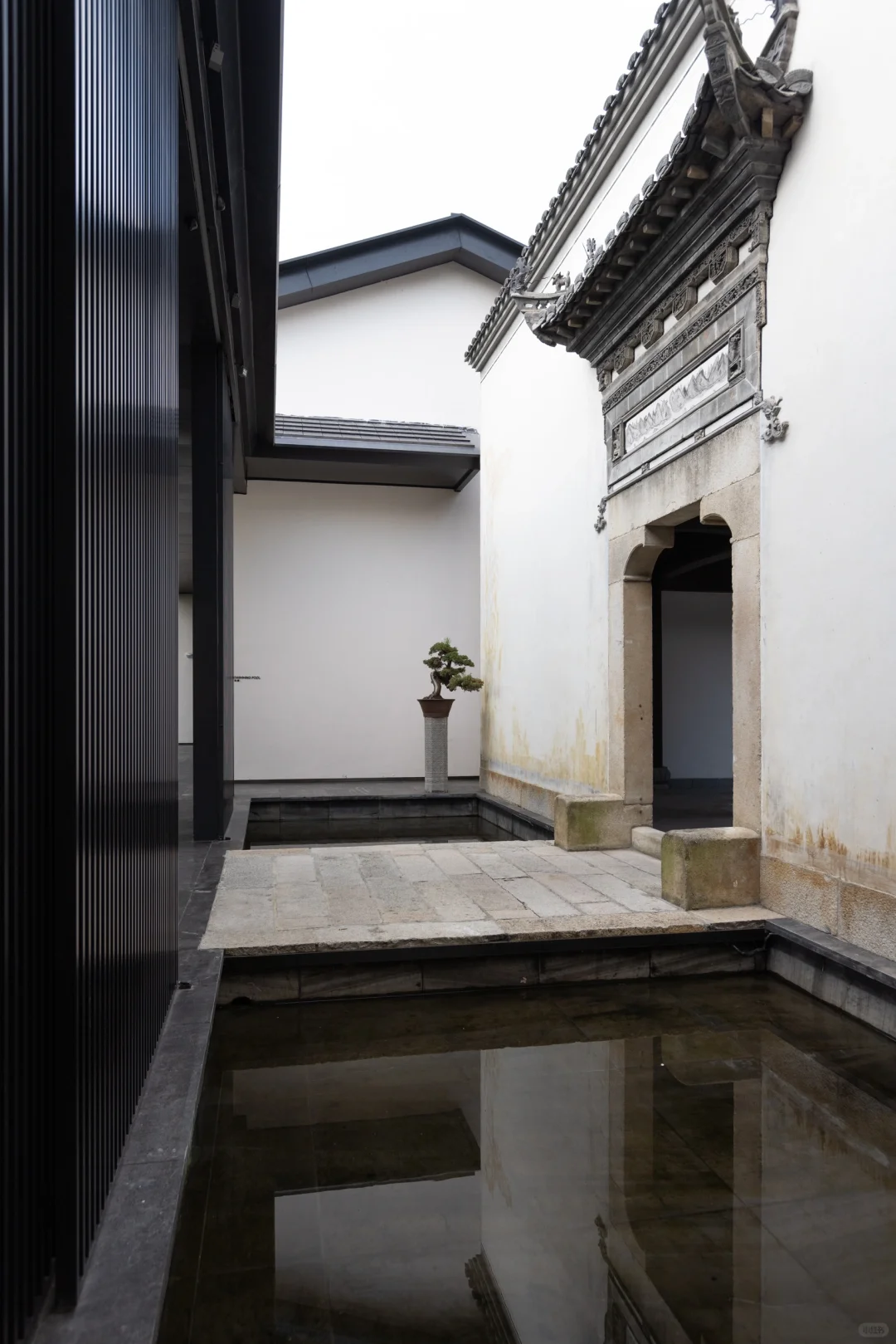 迄今为止，我最喜欢的旅游城市出现了❗❗️