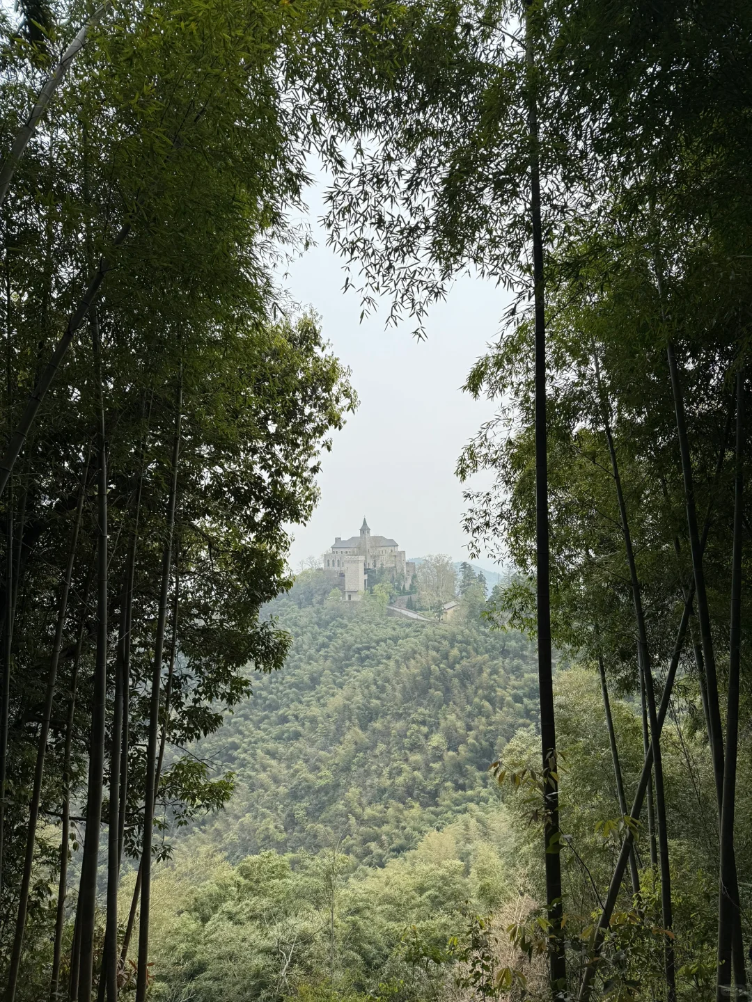 江浙沪三天两晚必玩，湖州莫干山