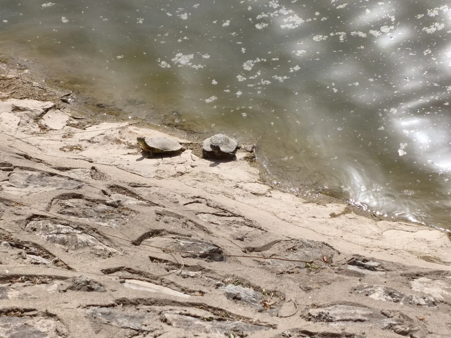 广府古城旅游攻略——远离繁华