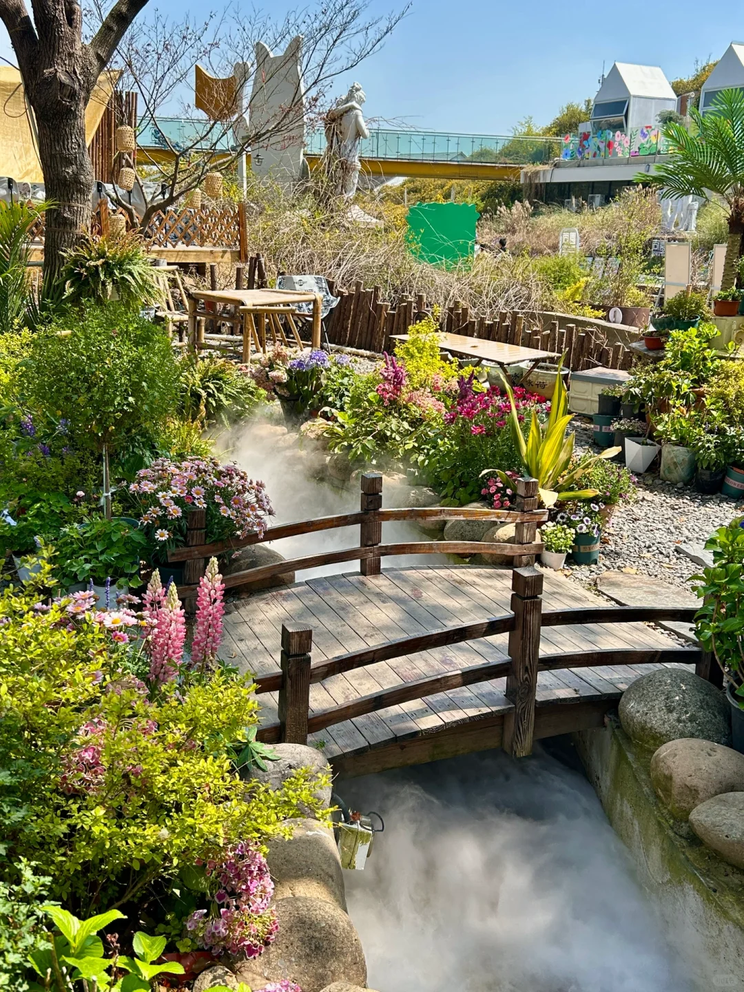 接下来的苏州将美成这样❗️（live）