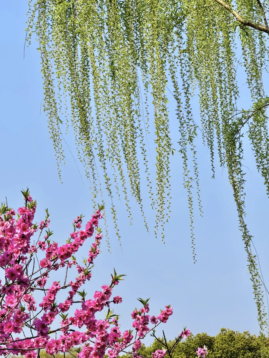 推荐一个绝对冷门但超级震撼的江南园林...