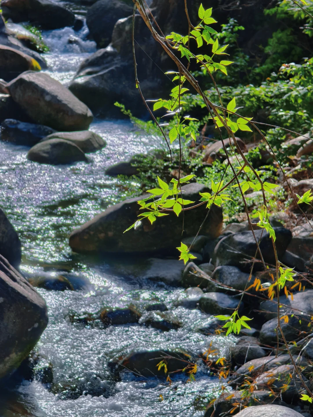 “人随春好 春与人宜”