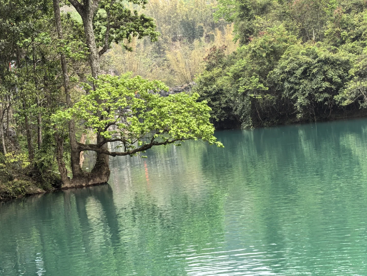 🌟地球上掉落的绿宝石被我找到啦！