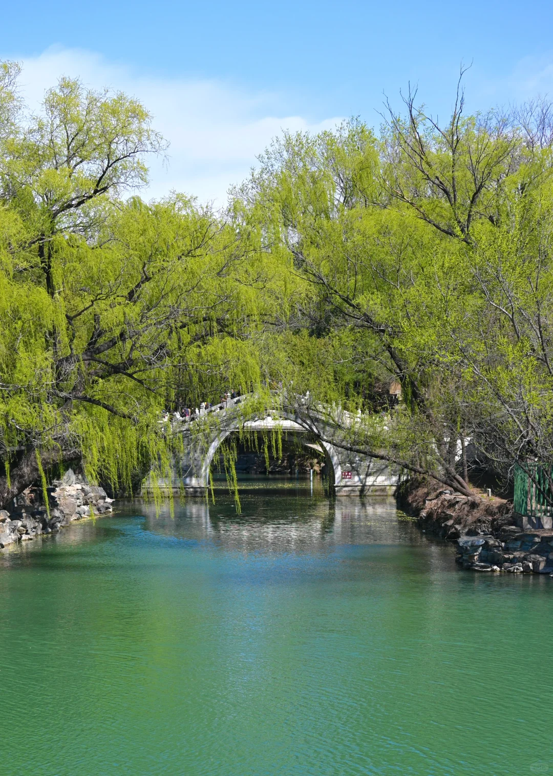 3.29颐和园豳风桥美到next level最佳观赏季