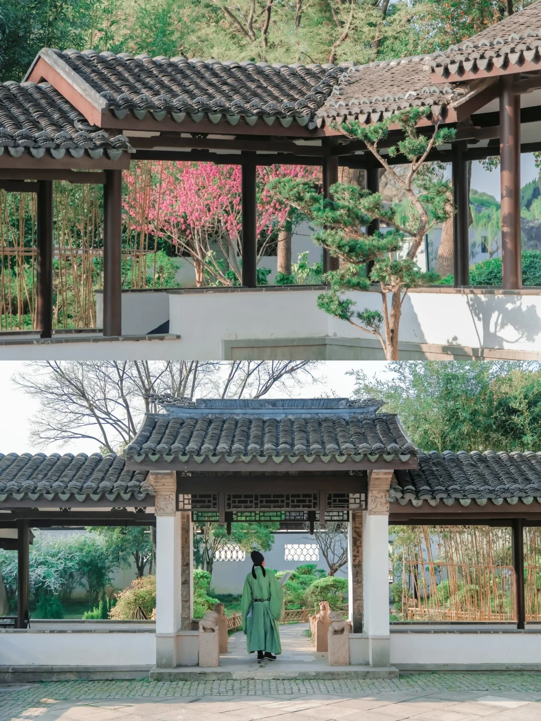 推荐一个绝对冷门但超级震撼的江南园林...