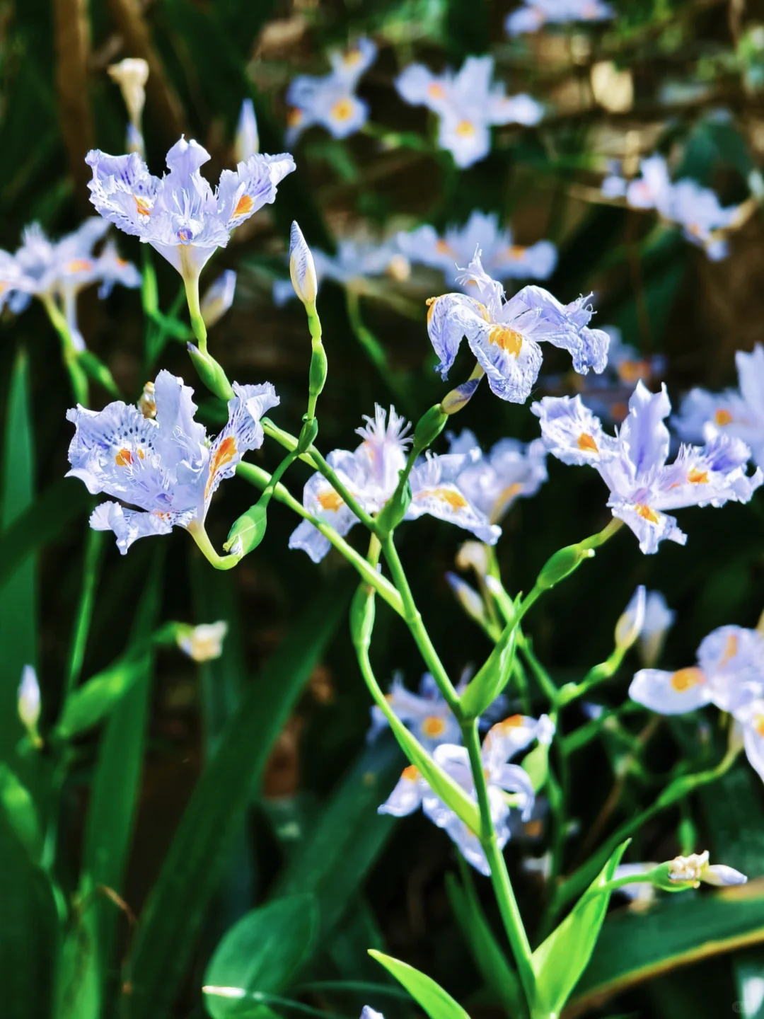 “人随春好 春与人宜”