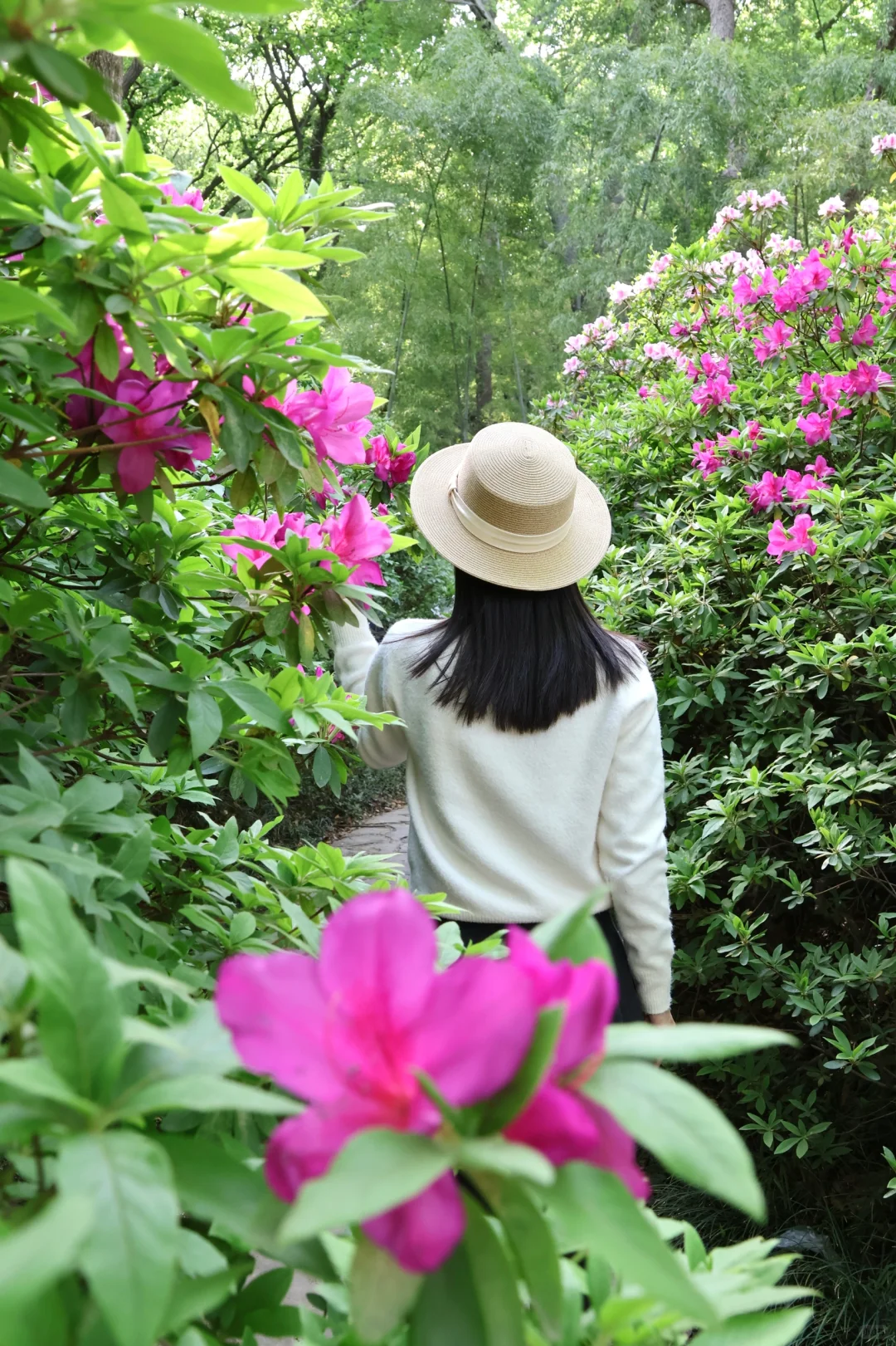 下午三点后｜无锡的这个公园会发光