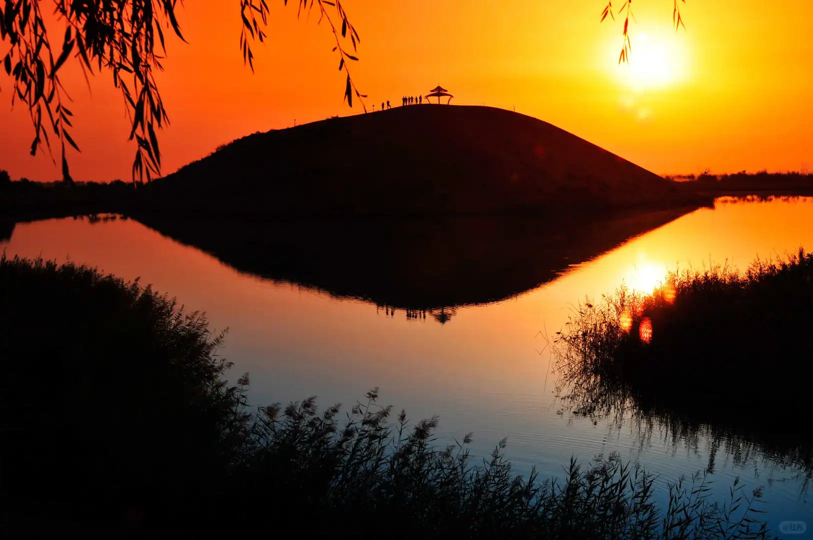 腾格里金沙岛#醉美沙漠花园