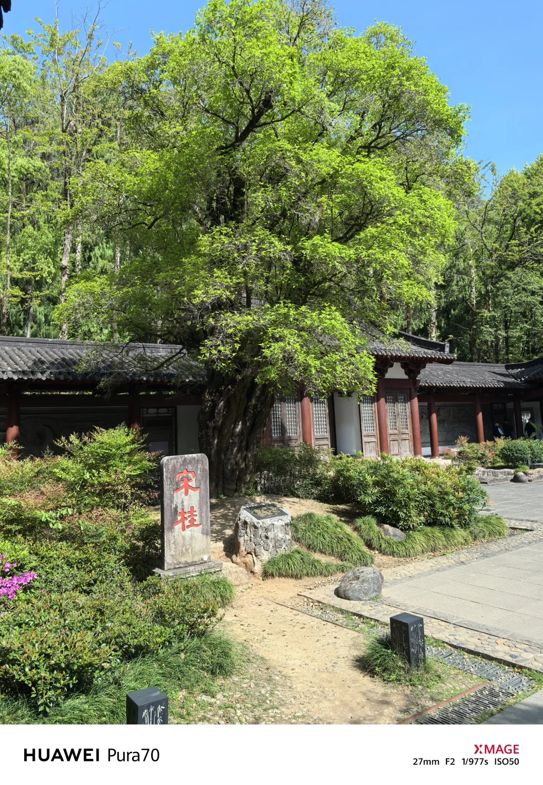 203504武夷山大红袍水帘洞景区