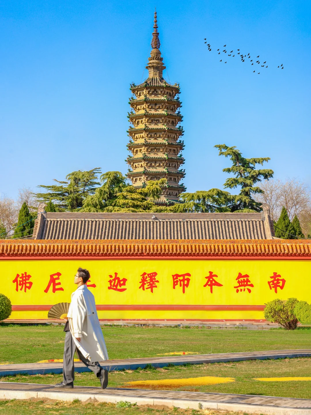 为了这1️⃣8️⃣张图，我特意去了一趟石家庄‼️