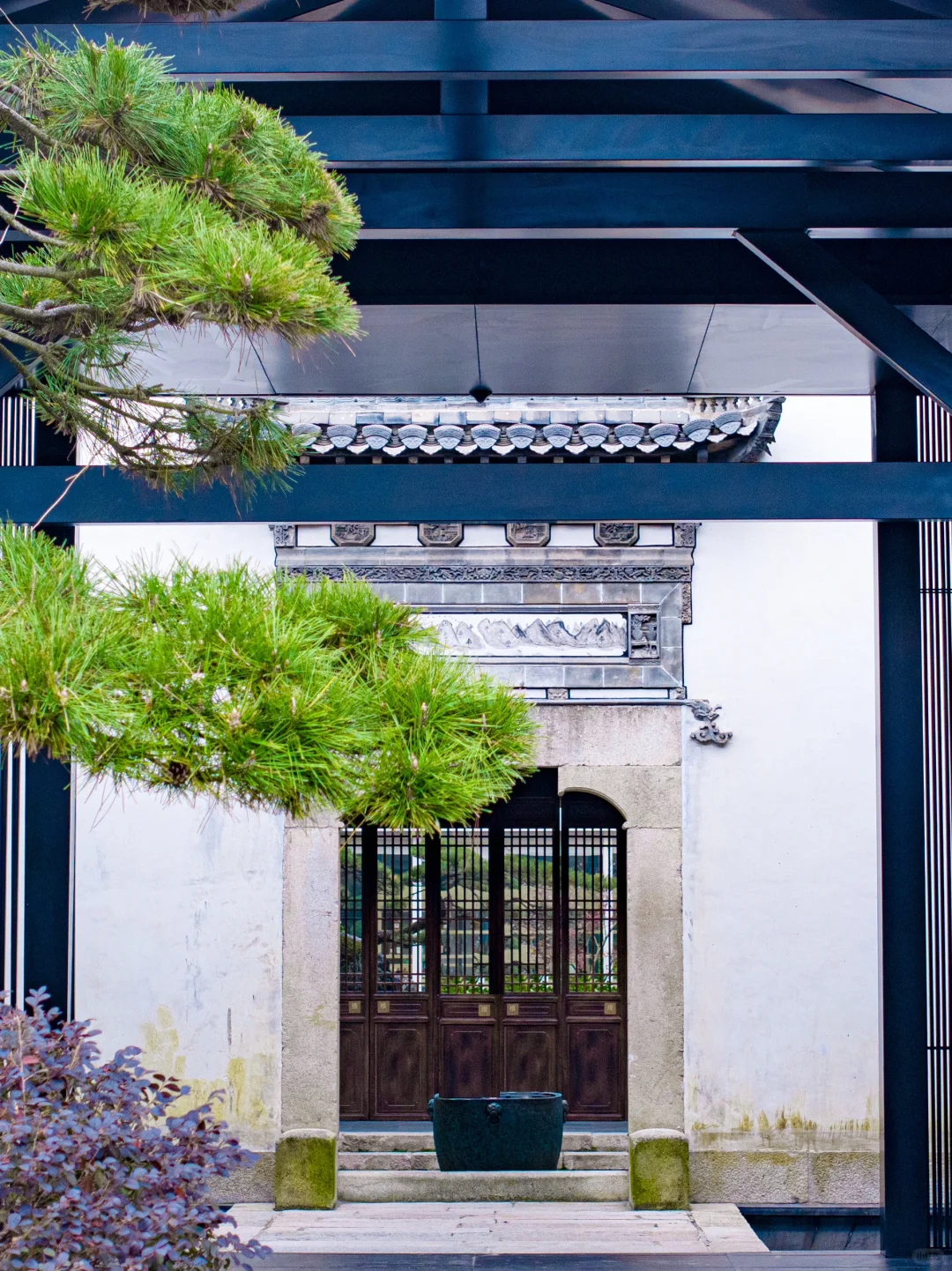 迄今为止，我最喜欢的旅游城市出现了❗❗️