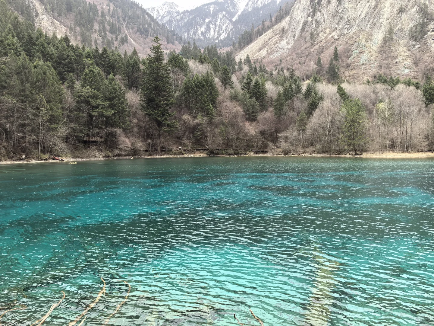 九寨沟特种兵喂饭级攻略