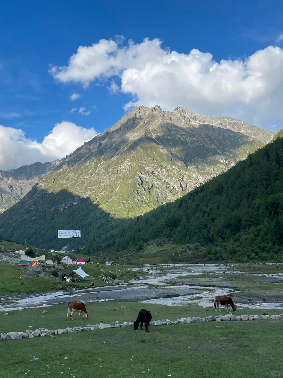 人去不了瑞士，但总得和朋友来川西吧🏔