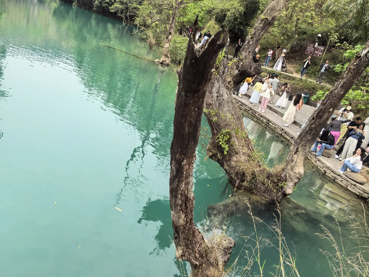 🌟地球上掉落的绿宝石被我找到啦！